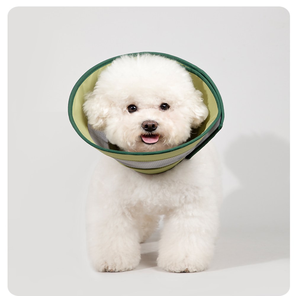 網格伊莉莎白頸圈 (兩色)