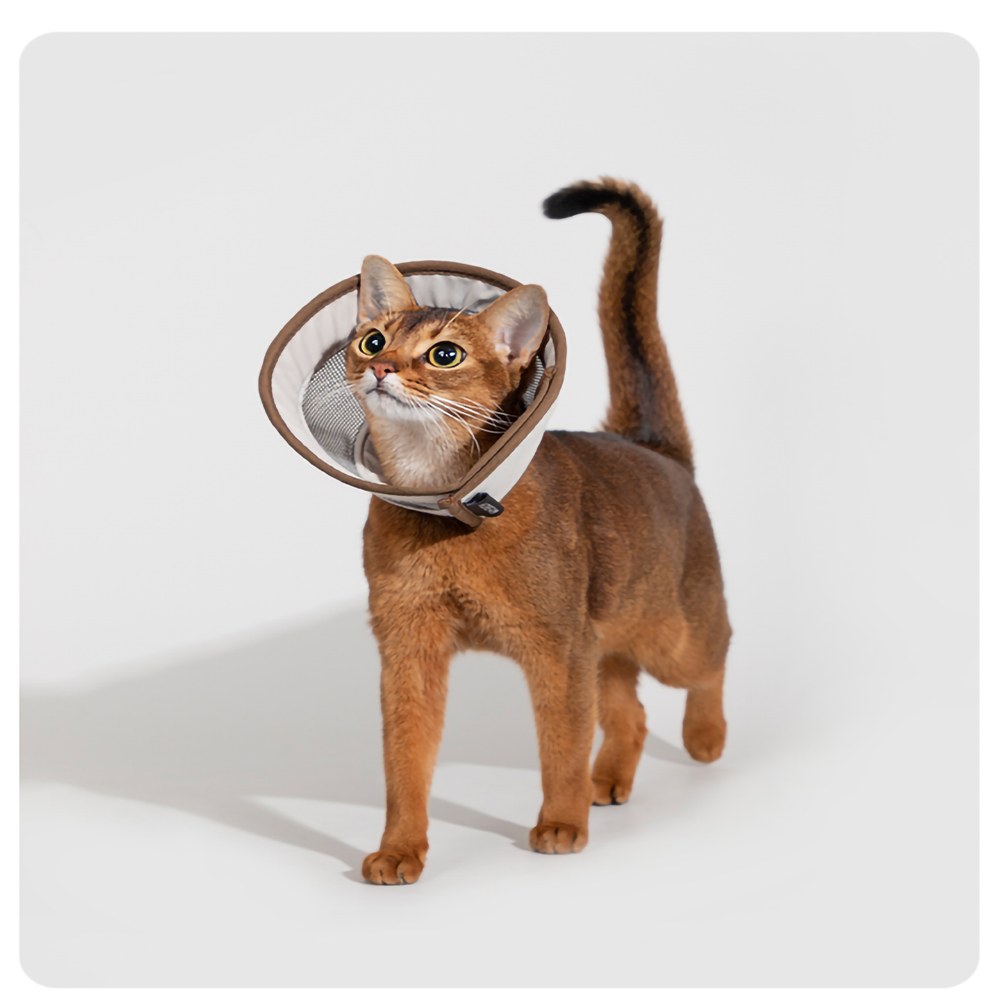 網格伊莉莎白頸圈 (兩色)