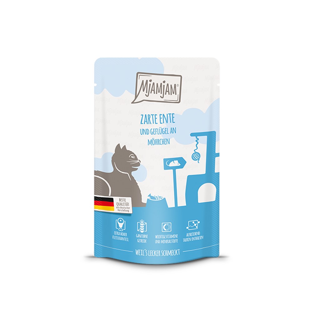 貓用主食餐包 (多種口味)