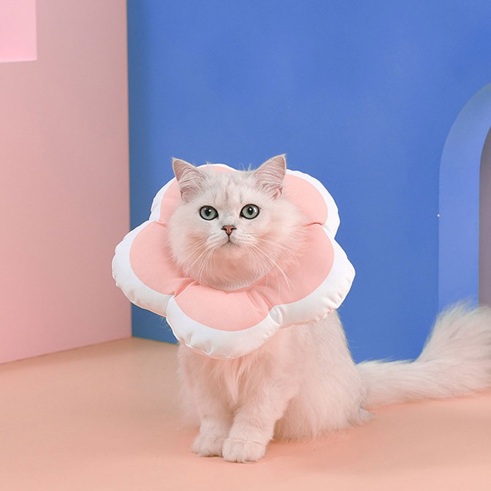 花朵伊莉莎白圈 (三色)