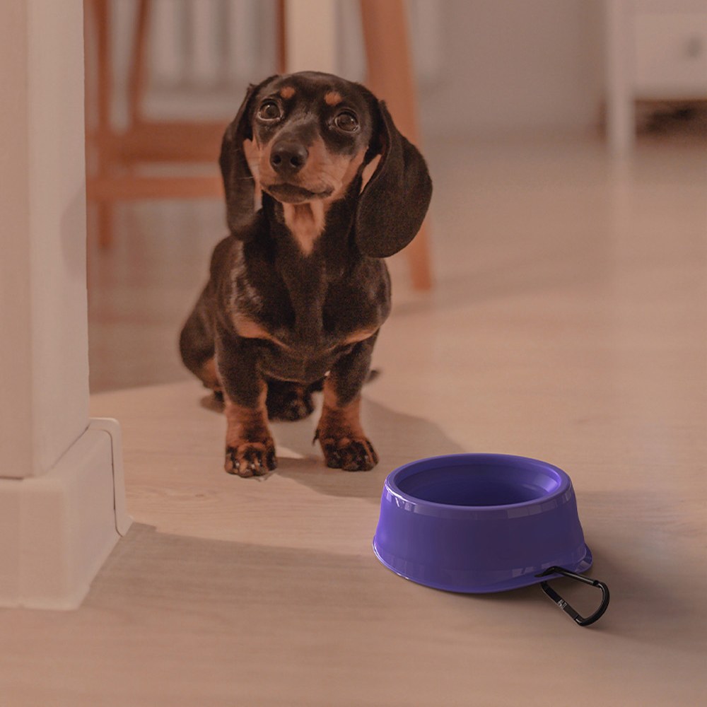 雙層寵物折疊碗 (含登山扣)