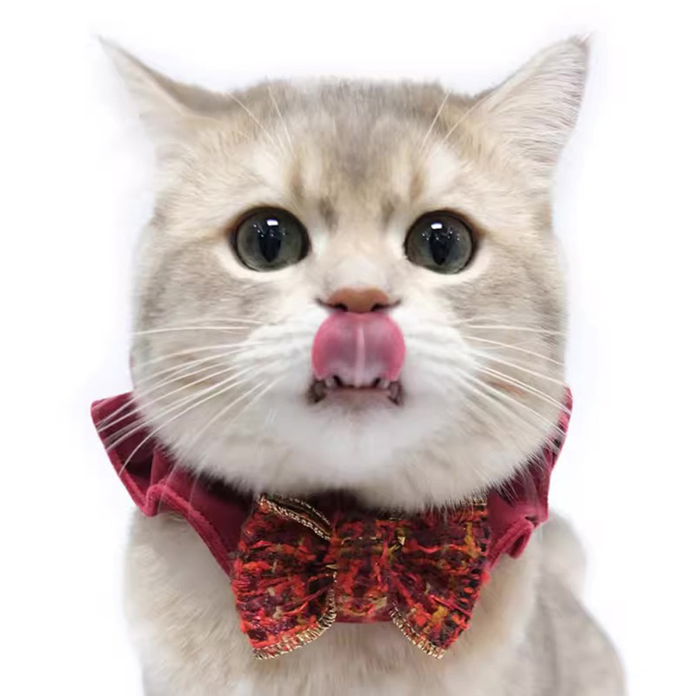 手工寵物花圈 (多款)