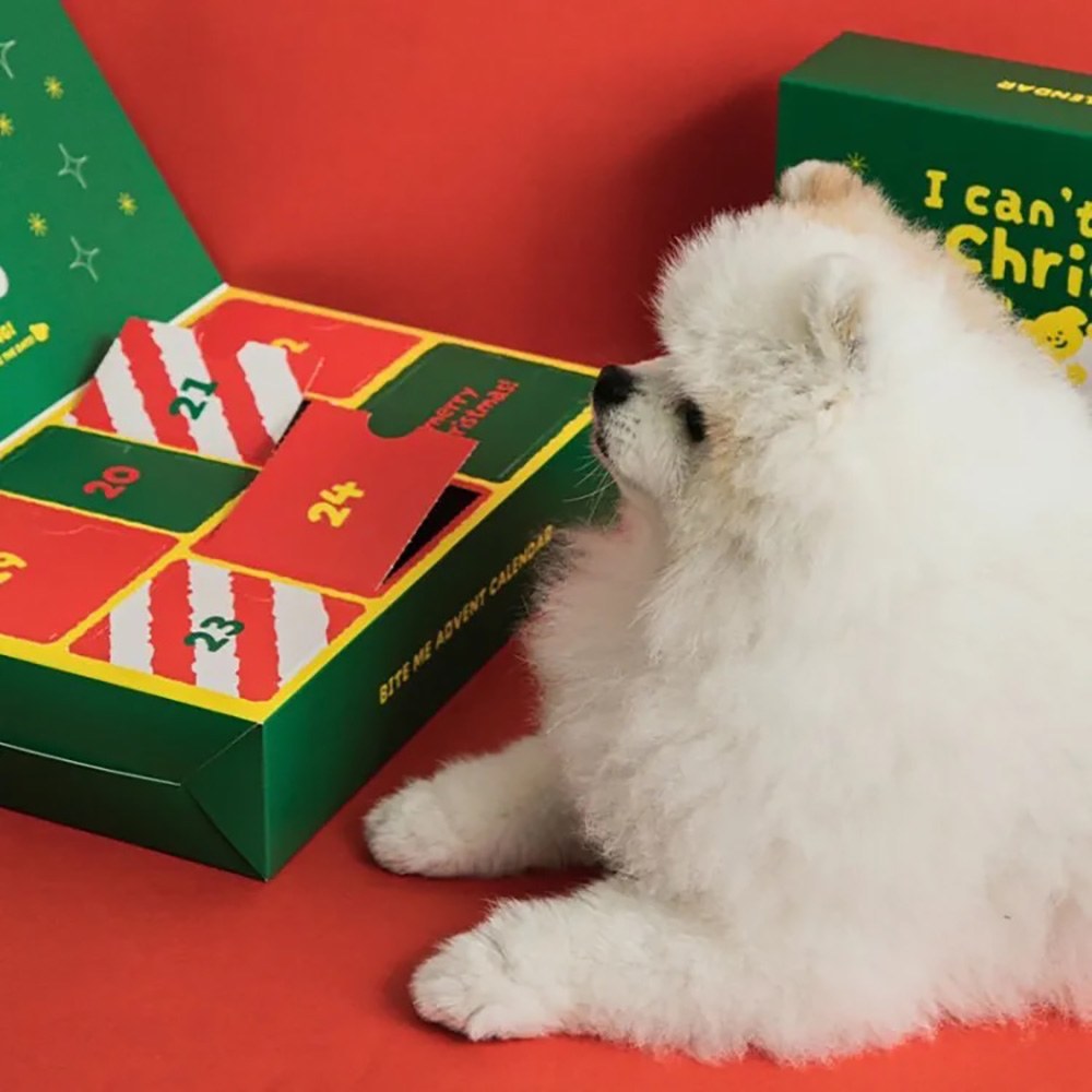 造型發聲玩具 - 聖誕倒數盒