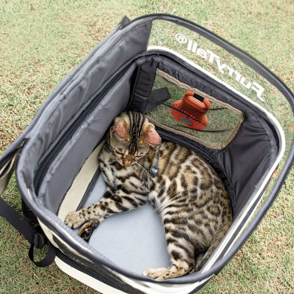 寵物露營背包套裝組 單入