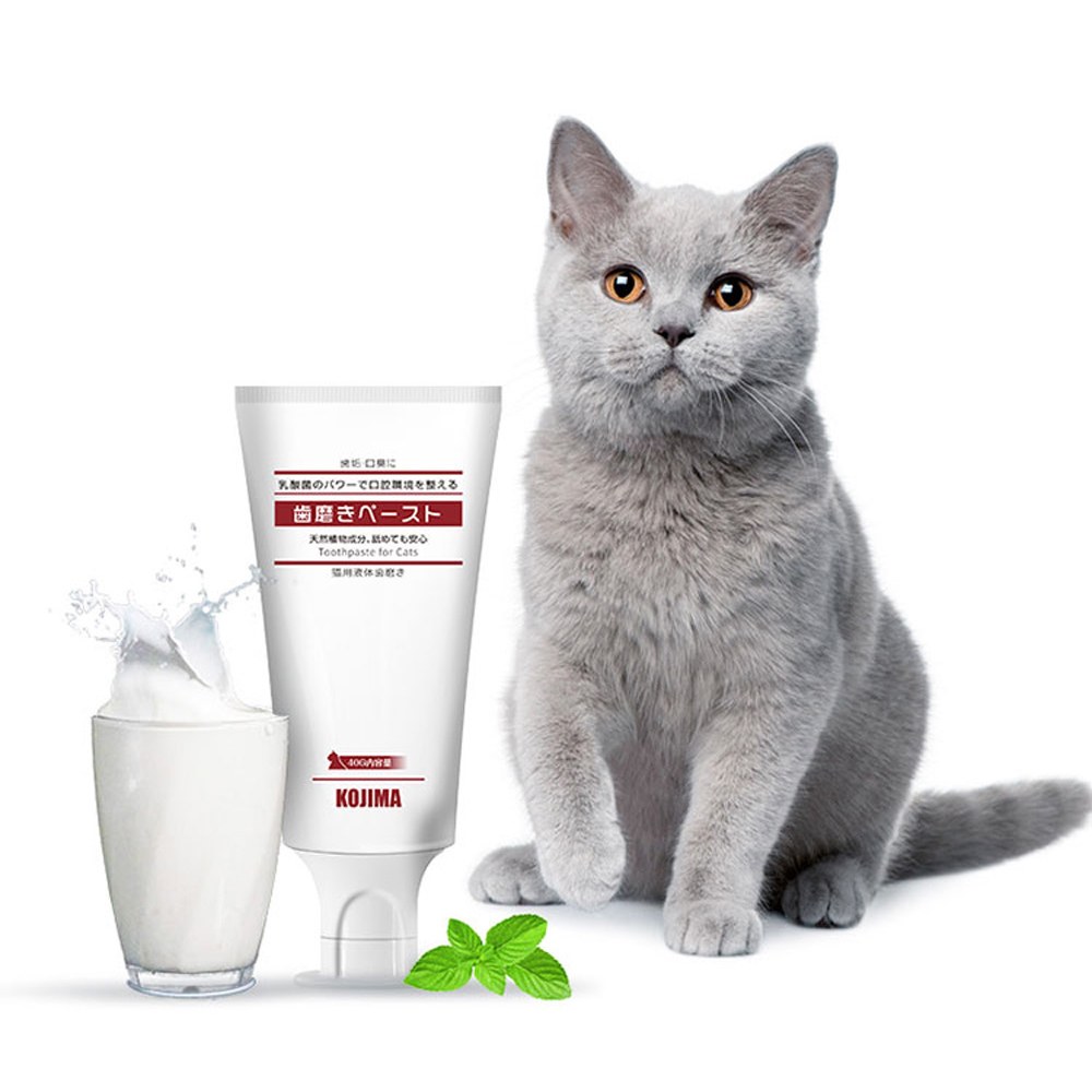 貓專用乳酸菌牙膏