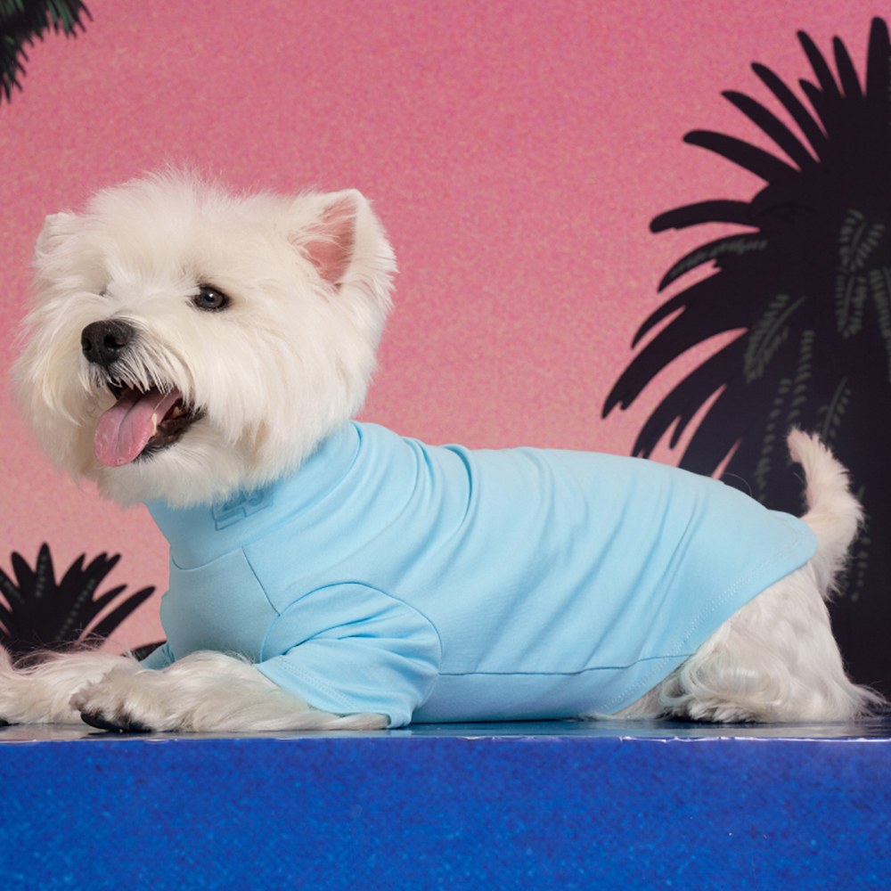 福利品專區 - 高領打底衫 草綠 L