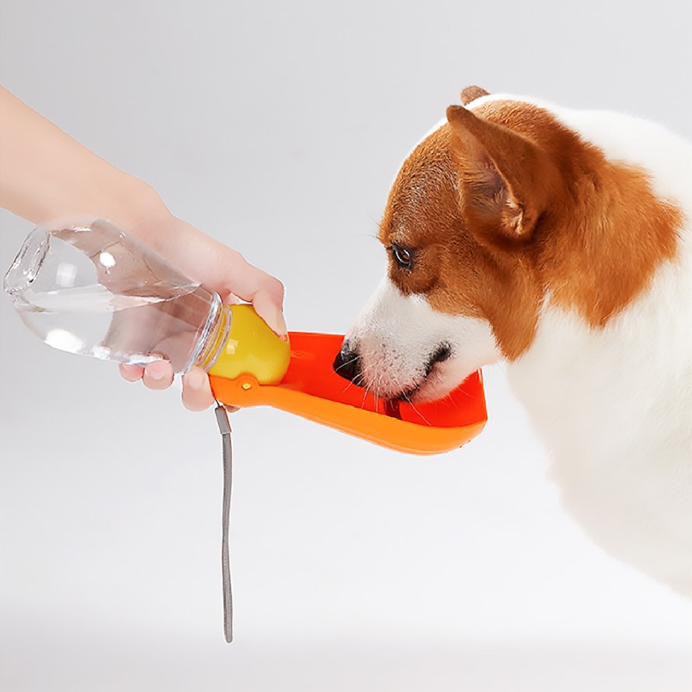 寵物戶外隨行水杯 (兩色)