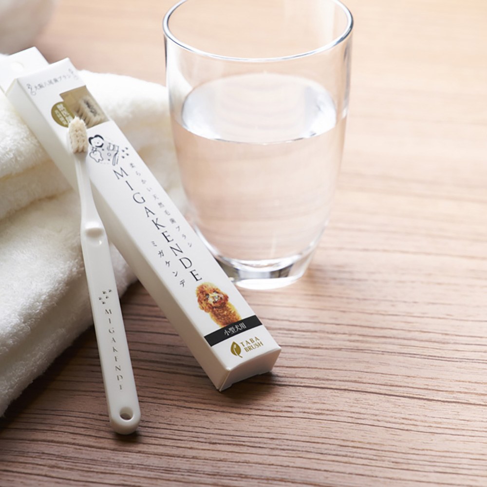 寵物天然軟毛牙刷 (多款)