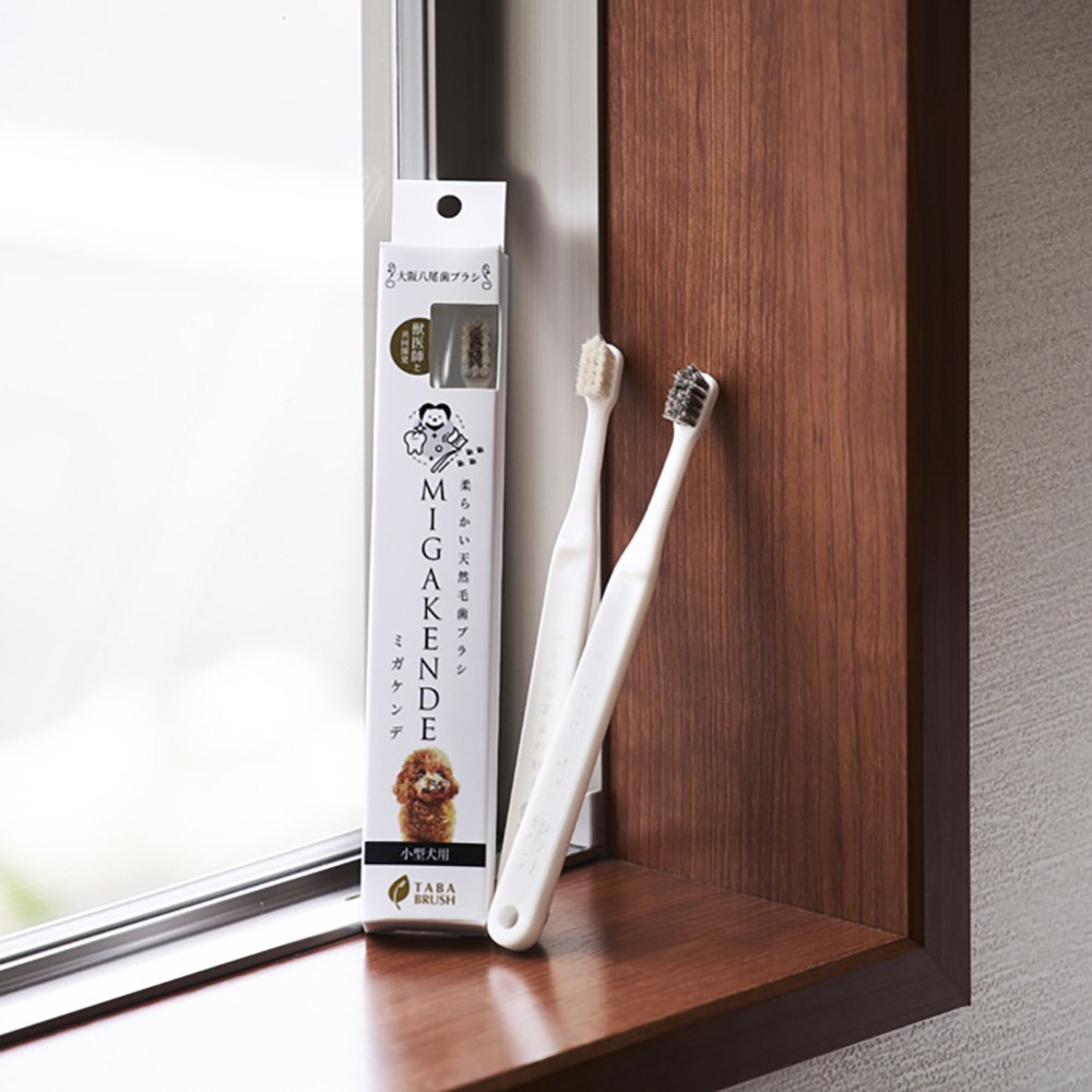 寵物天然軟毛牙刷 (多款)