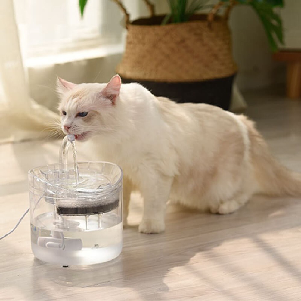 防乾燒活氧飲水機