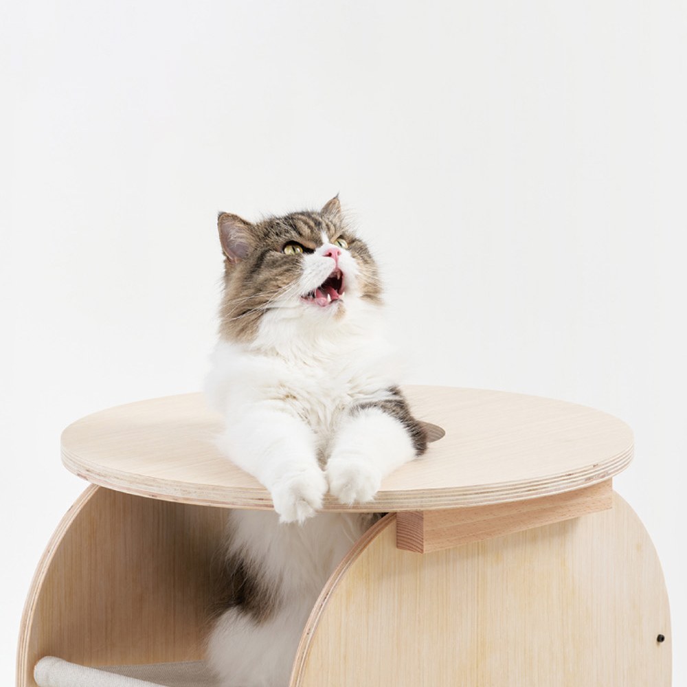 茶几款 夏季清涼窩