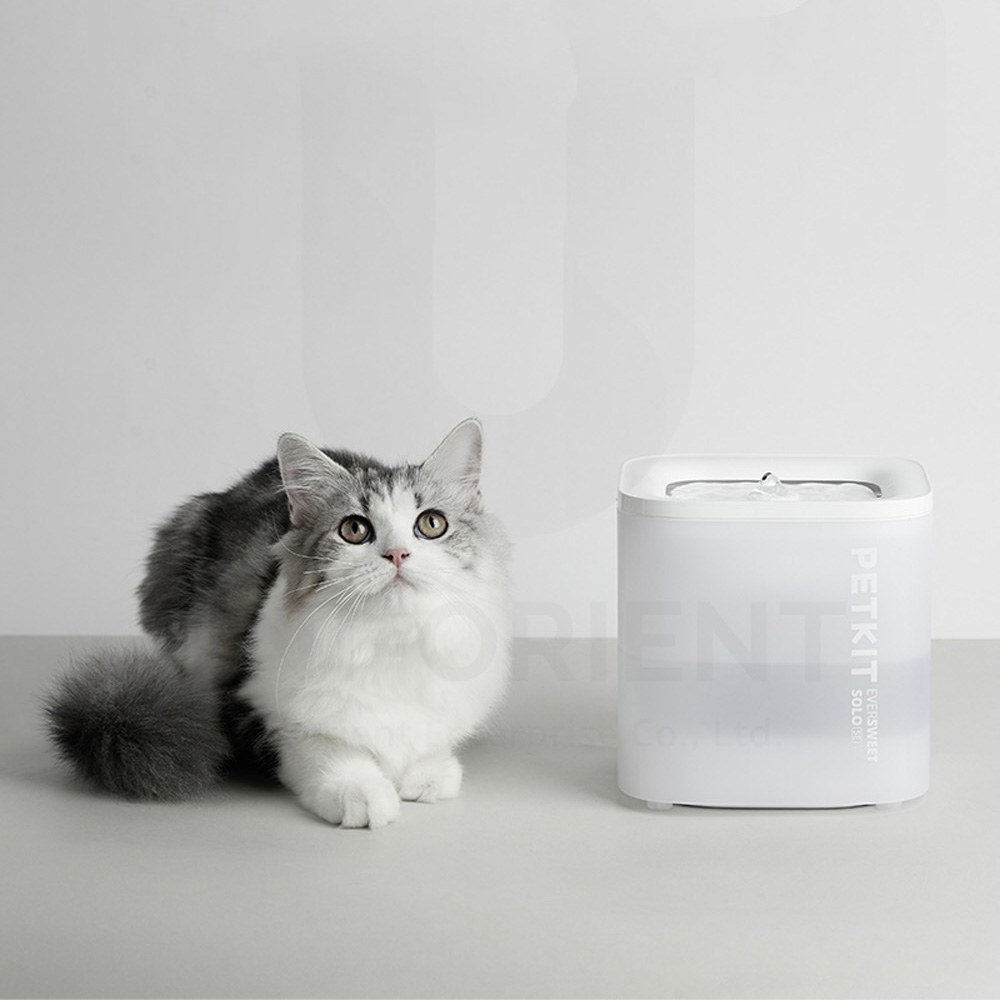 智能寵物循環活水機 SOLO SE (無線馬達)