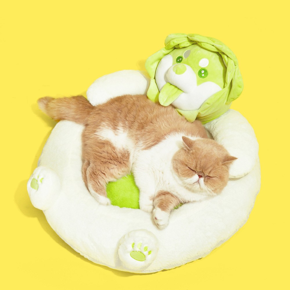 造型寵物窩 - 抱抱窩