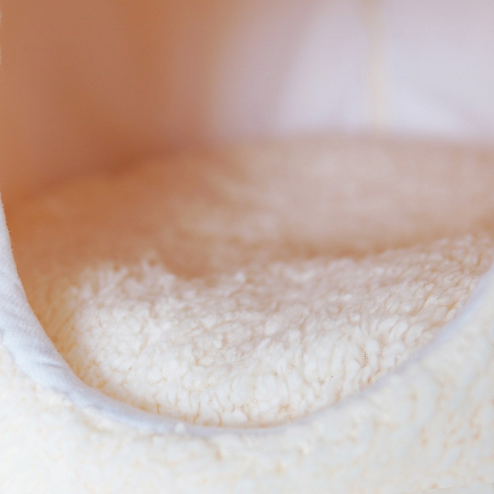 可愛小雞寵物窩