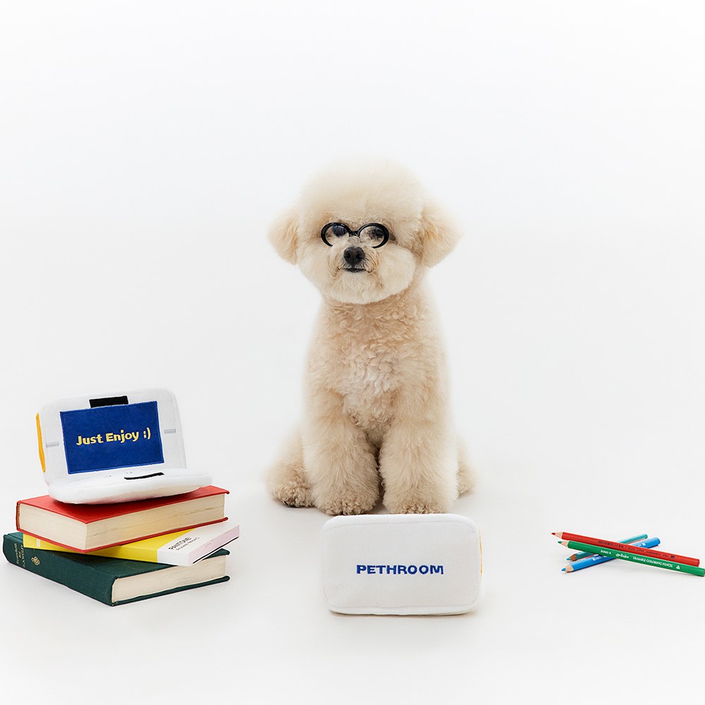 電子字典 寵物藏食發聲玩具