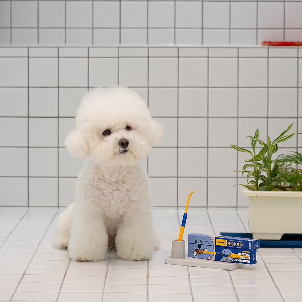 寵物超細纖維軟毛牙刷 (多款)