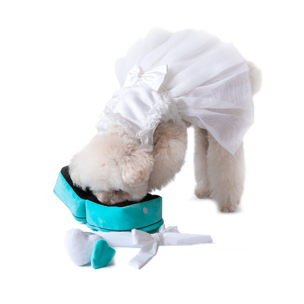 嗅聞扯紙玩具 - 戒指套組