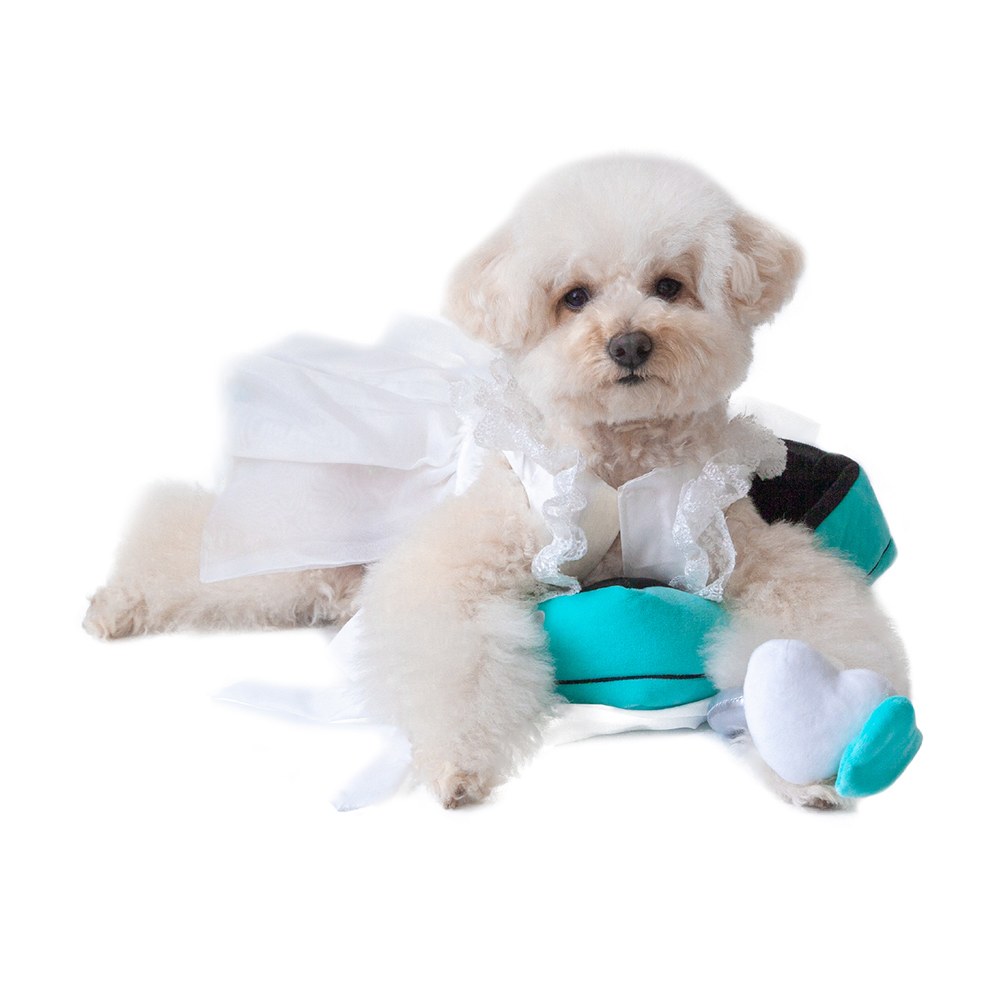 嗅聞扯紙玩具 - 戒指套組