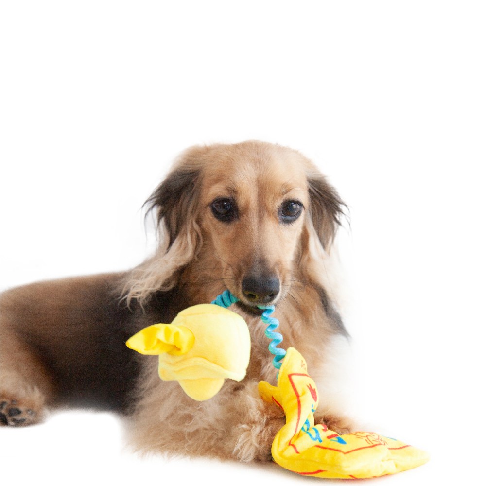 御守藏食嗅聞玩具 (多款)