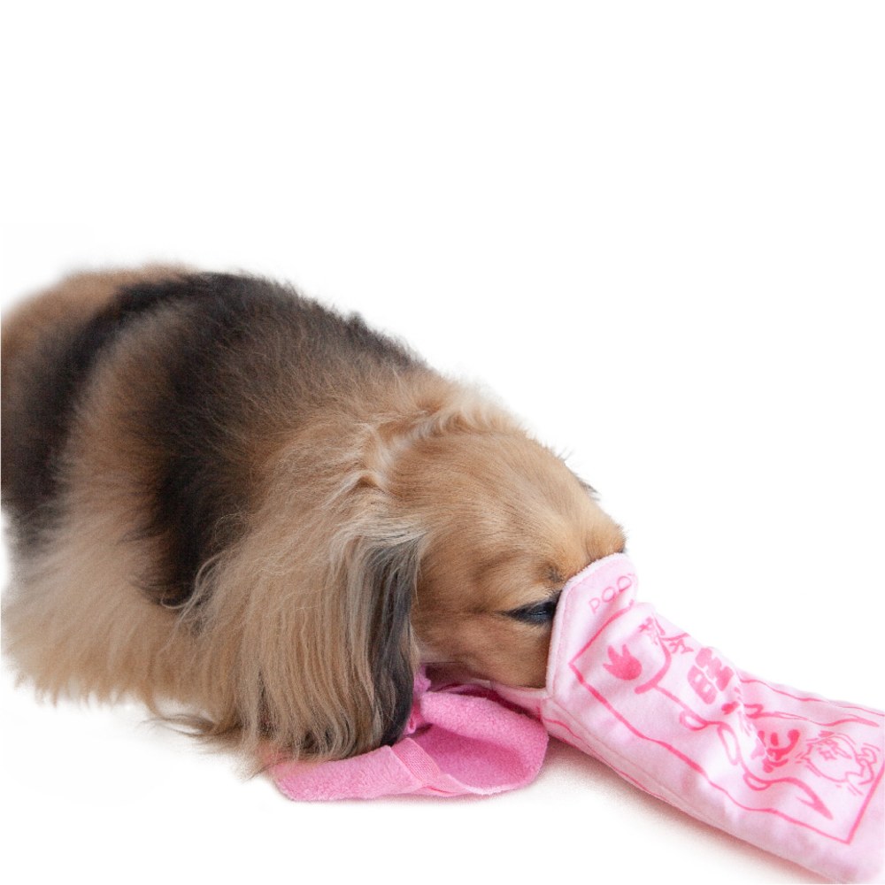 御守藏食嗅聞玩具 (多款)