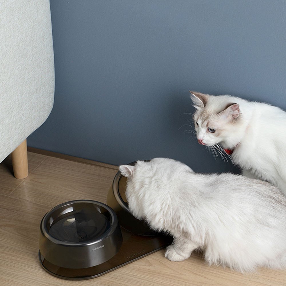 寵物健康餵食雙碗