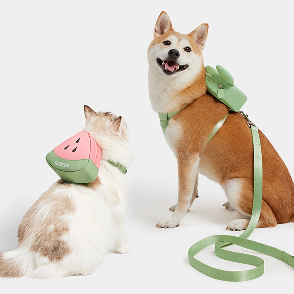 牽引繩套裝 (胸背+牽繩)