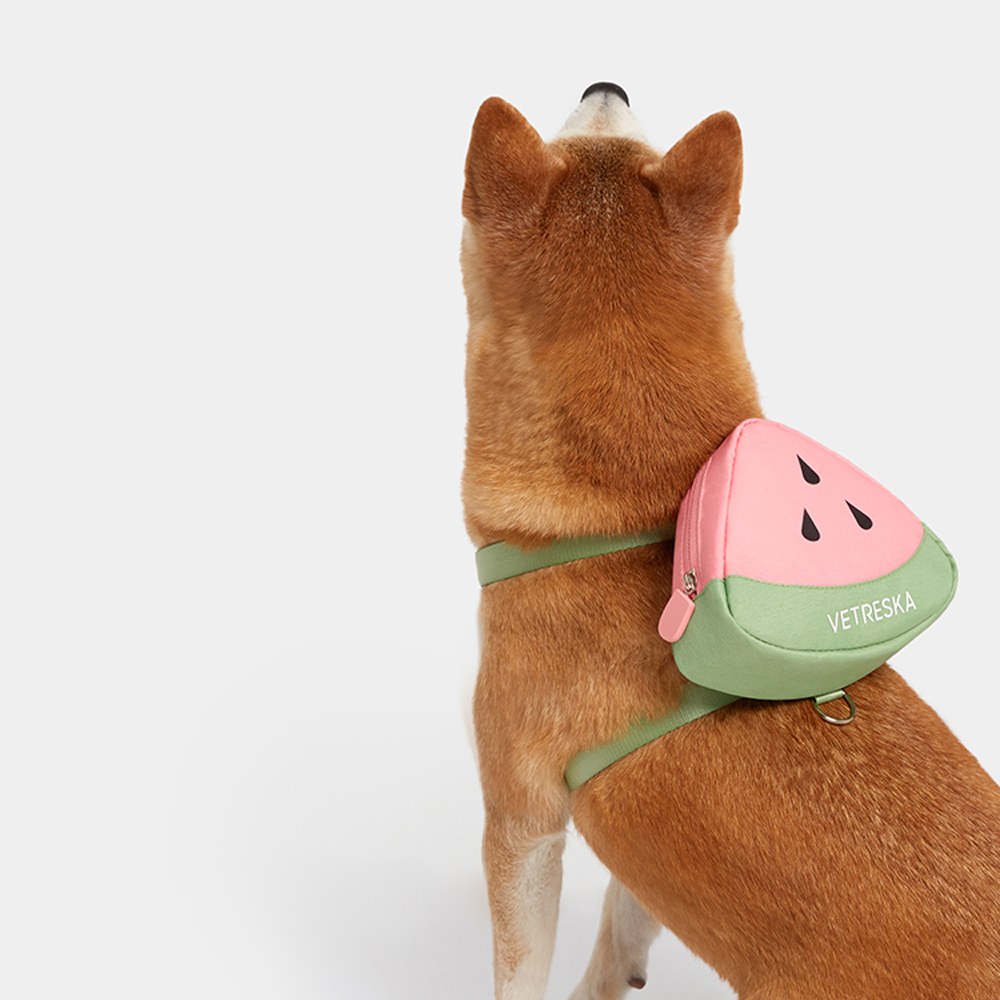 牽引繩套裝 (胸背+牽繩)