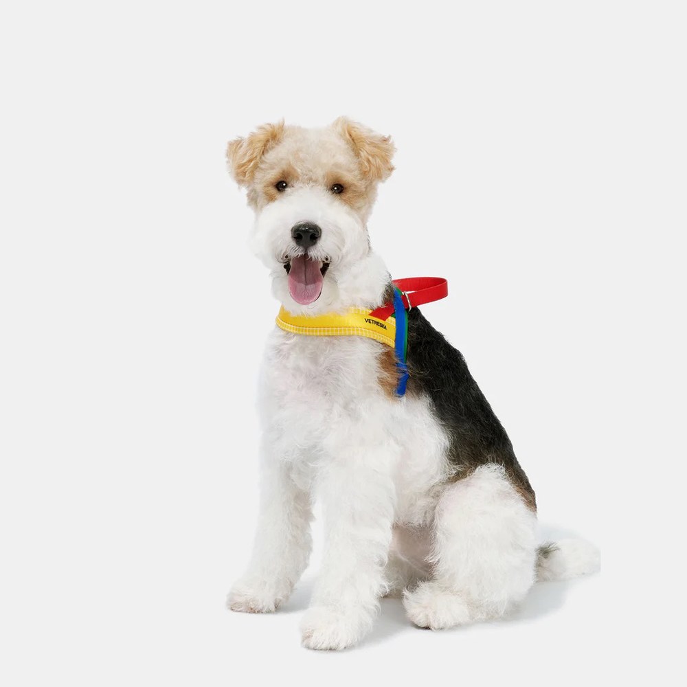  Chroma牽引繩套裝 (胸背+牽繩) (兩色)