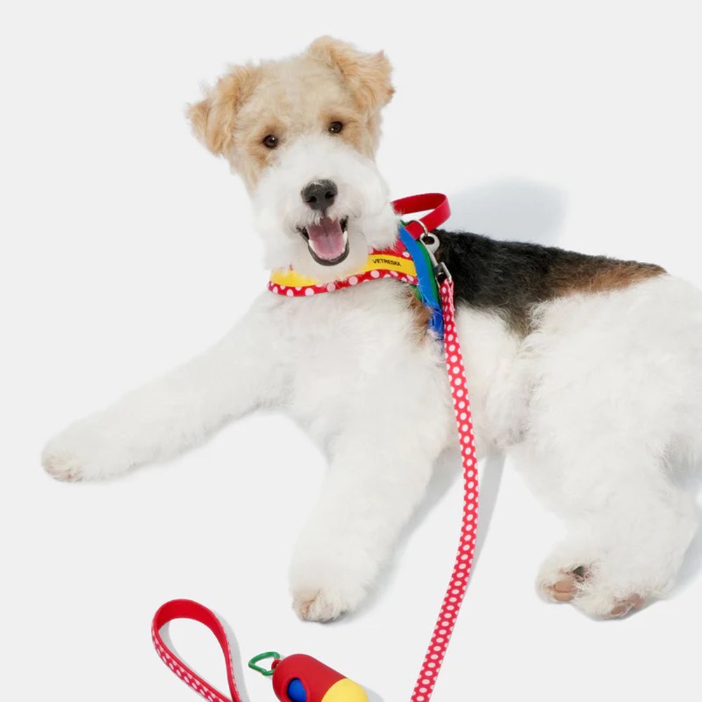  Chroma牽引繩套裝 (胸背+牽繩) (兩色)