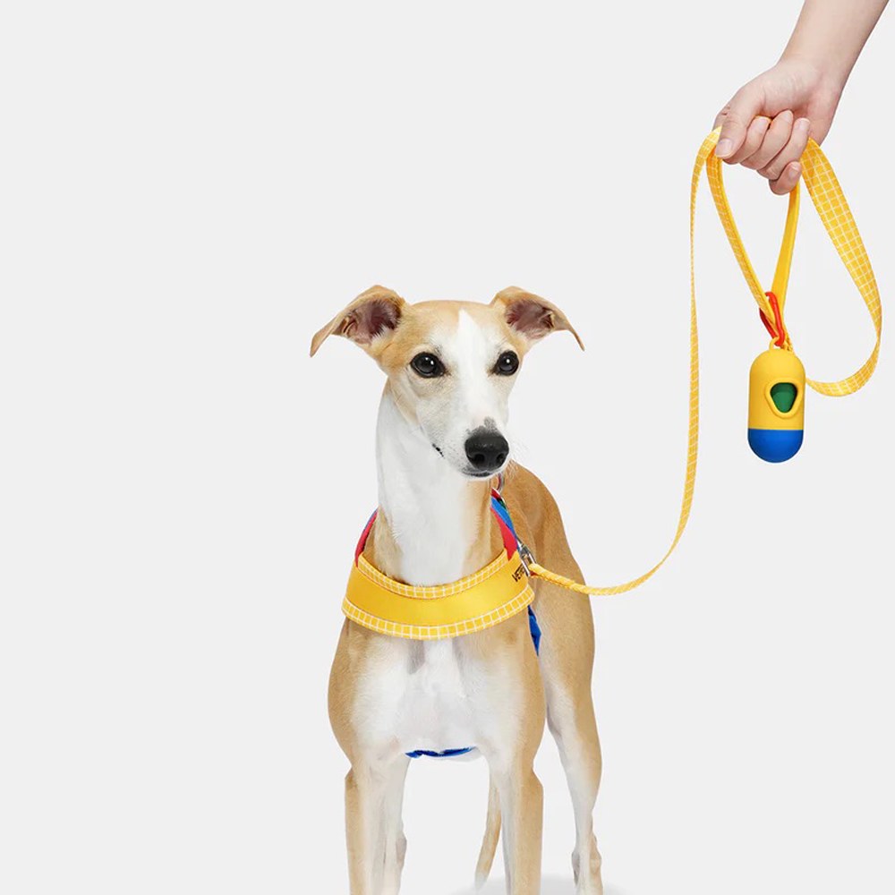  Chroma牽引繩套裝 (胸背+牽繩) (兩色)