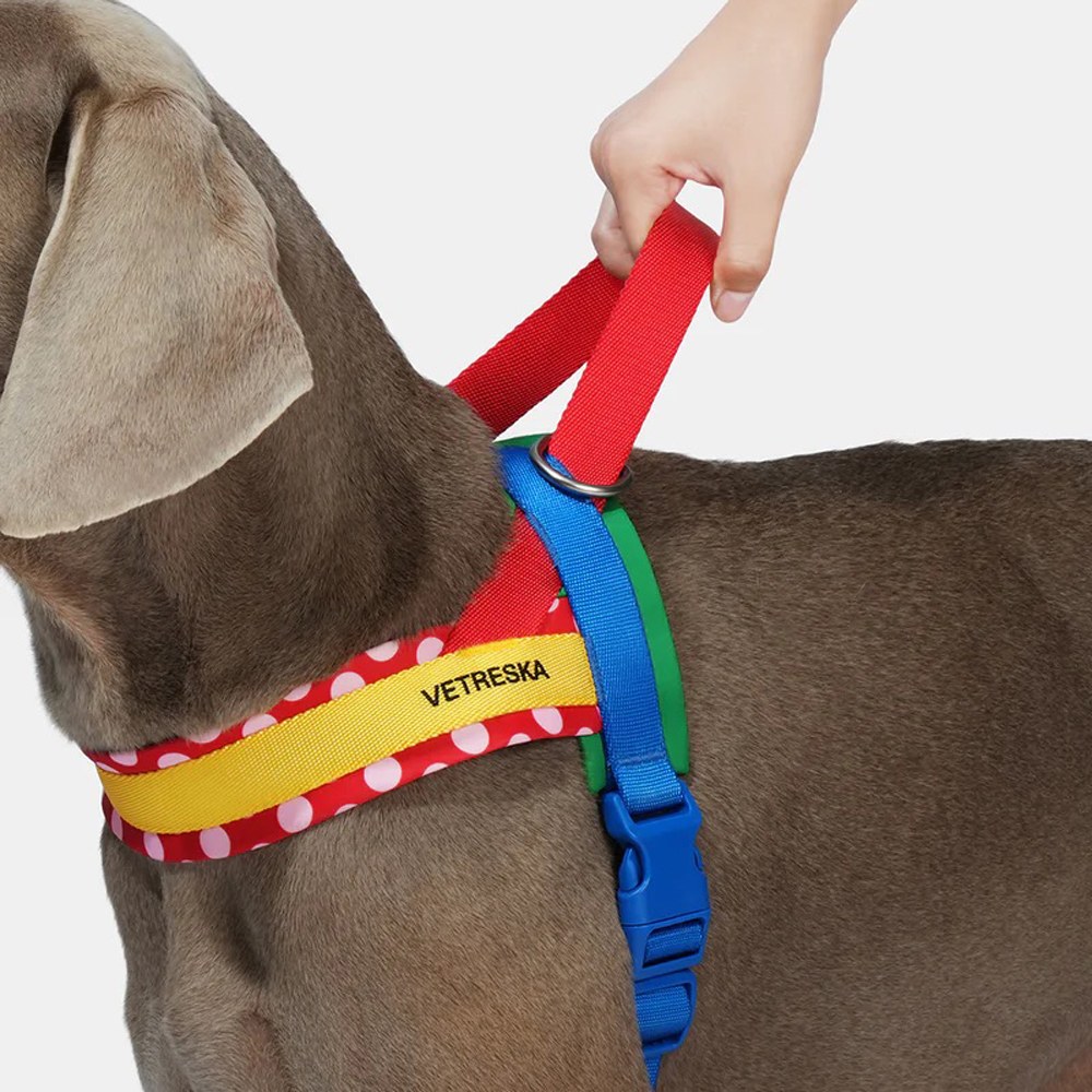  Chroma牽引繩套裝 (胸背+牽繩) (兩色)