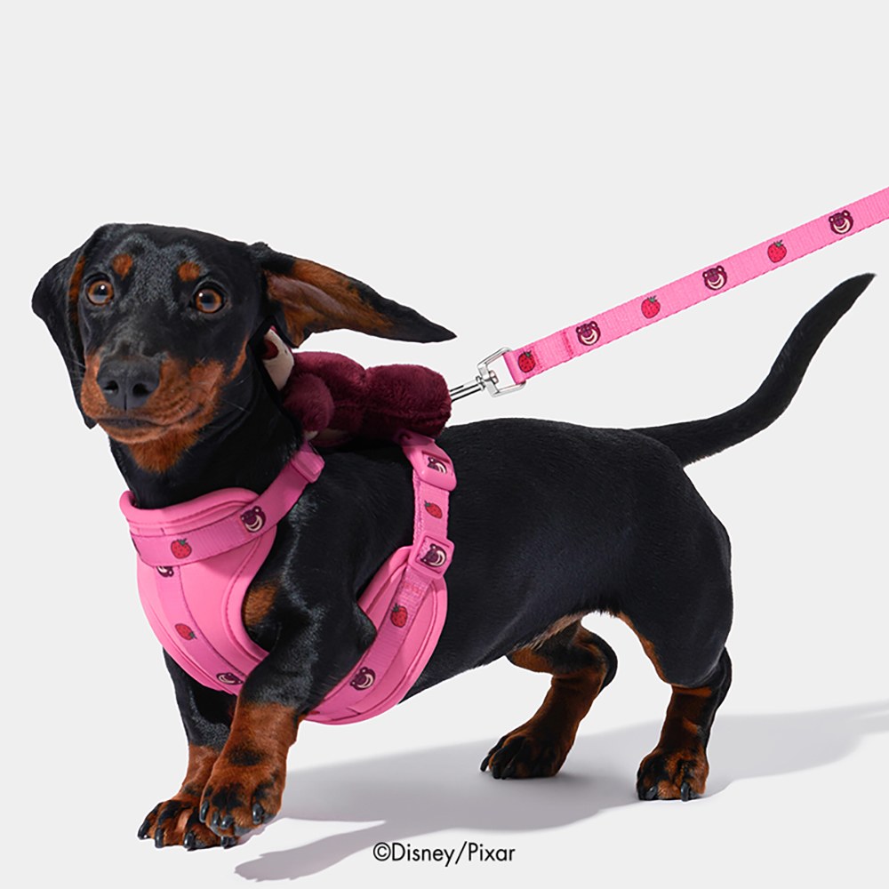 X 皮克斯 牽引繩套裝 (胸背+牽繩)