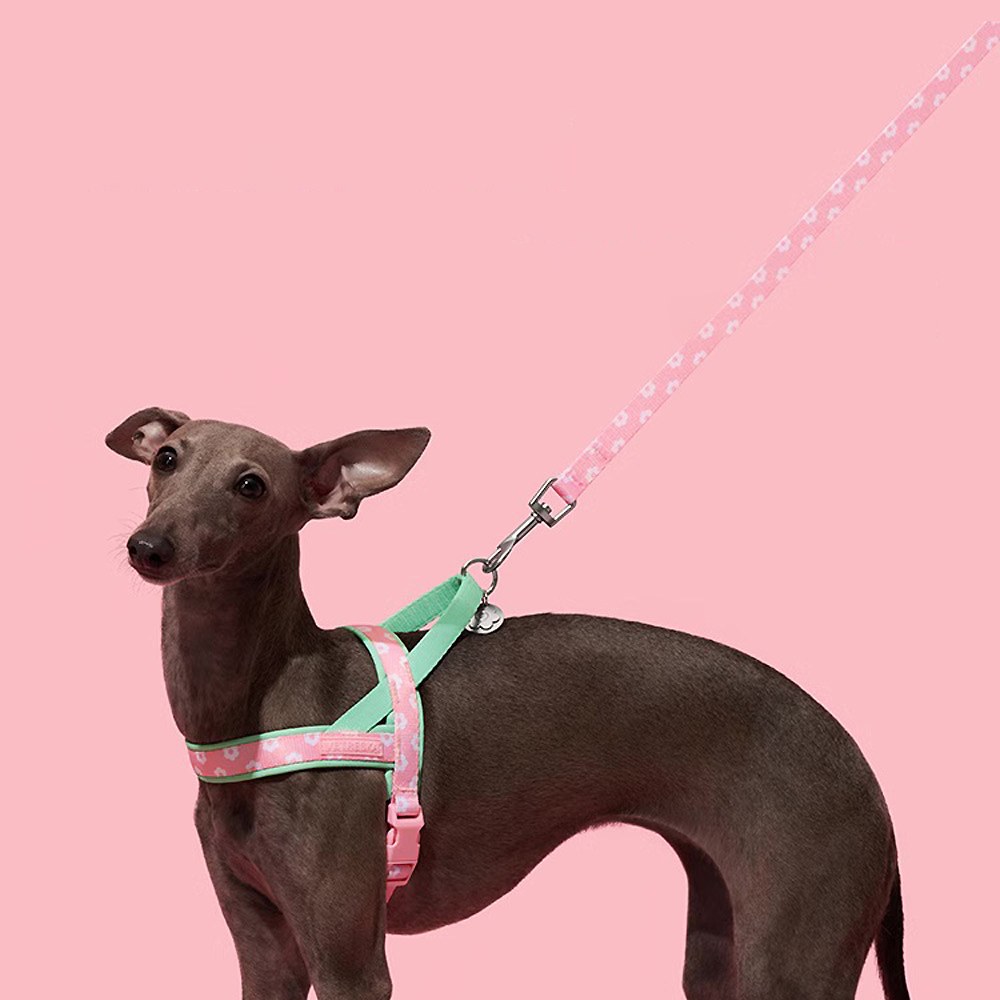 花花牽引繩套裝 (胸背+牽繩)