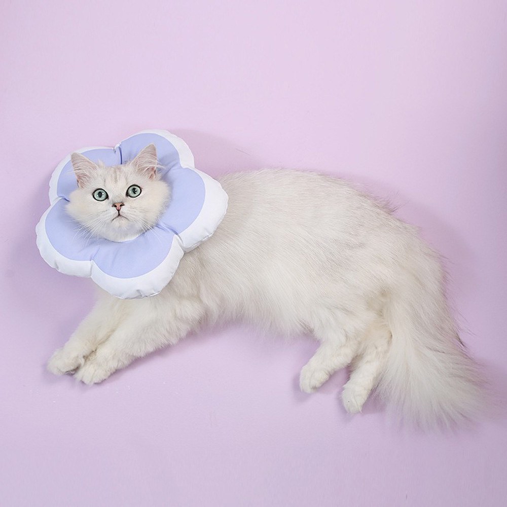 花朵伊莉莎白圈 (三色)