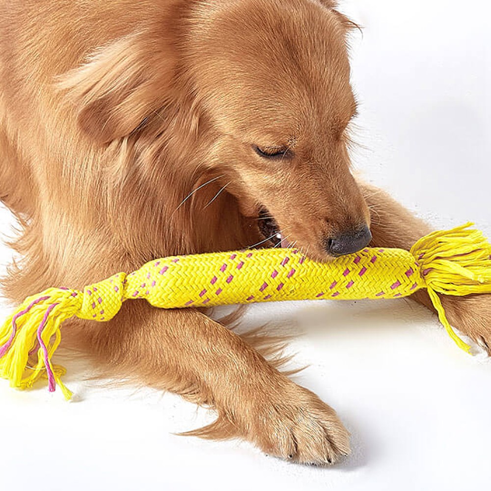手拉軟管狗咬繩