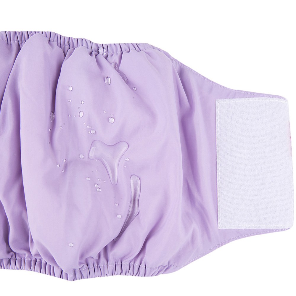 公狗禮貌帶 (兩色)