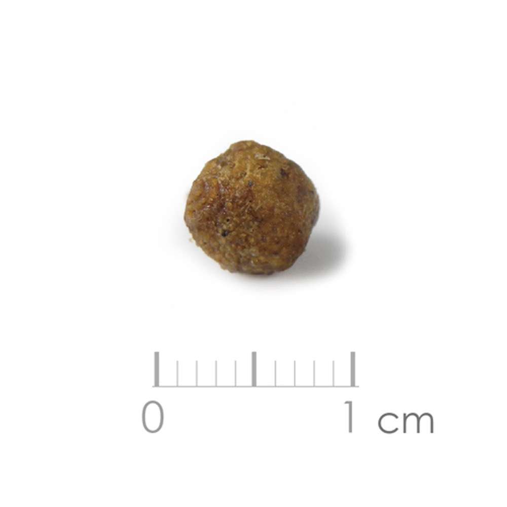 幼犬 經典系列乾糧 - 羊肉 (聰明成長配方)