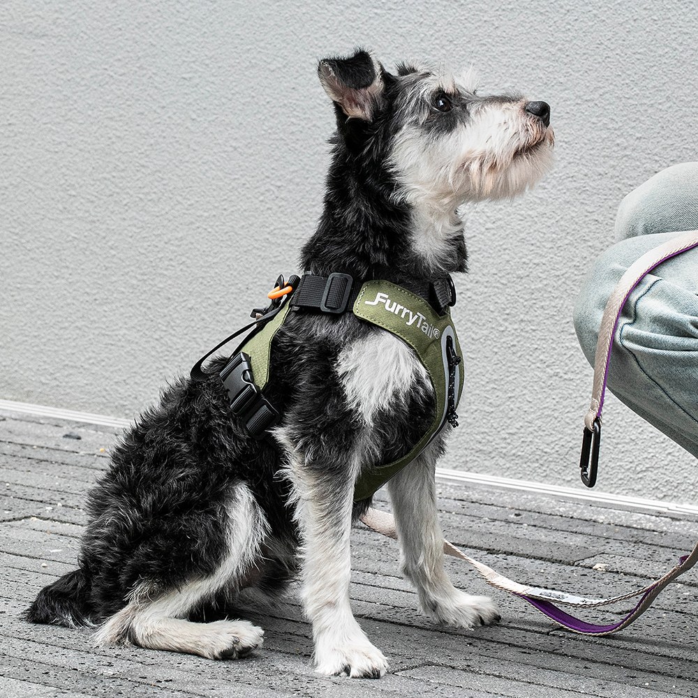 露營牽引繩套裝 (胸背+牽繩+拾便袋)