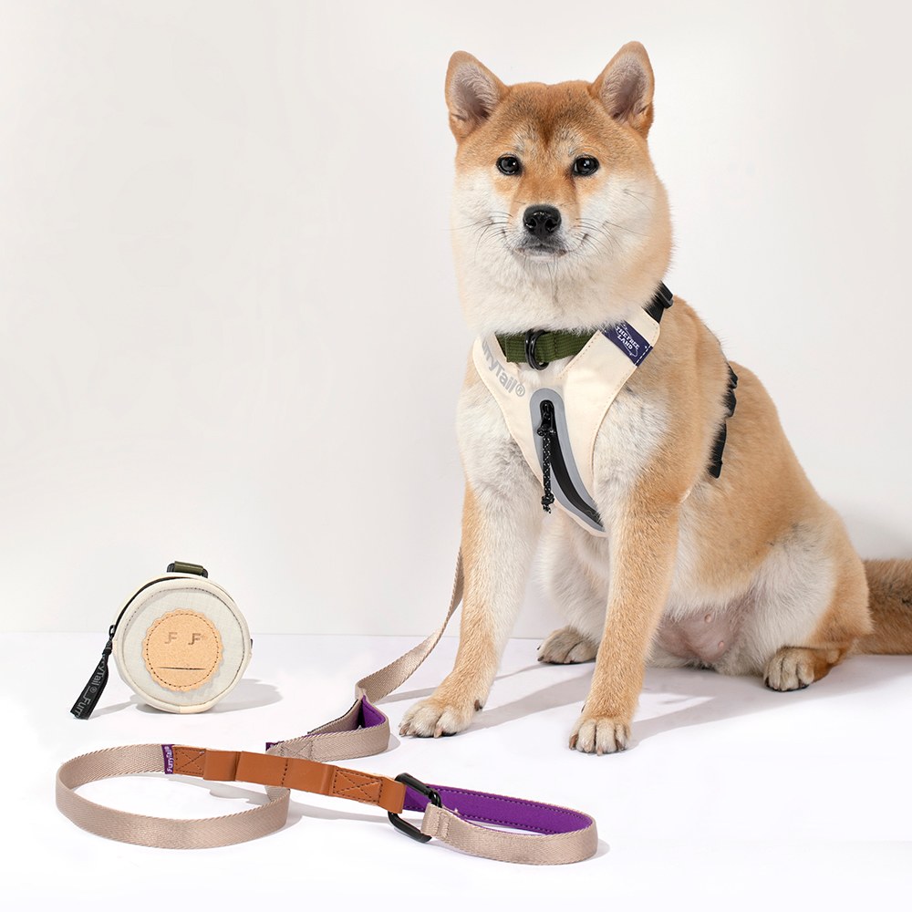 露營牽引繩套裝 (胸背+牽繩+拾便袋)