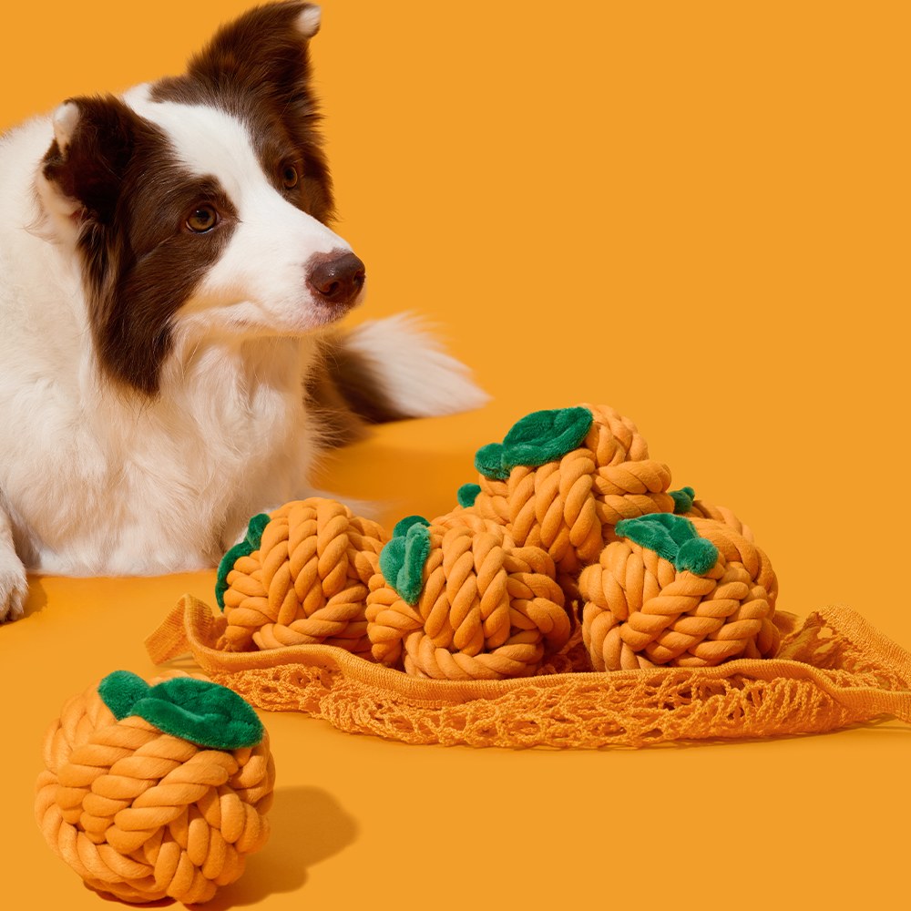 犬用繩結玩具 - 橘子