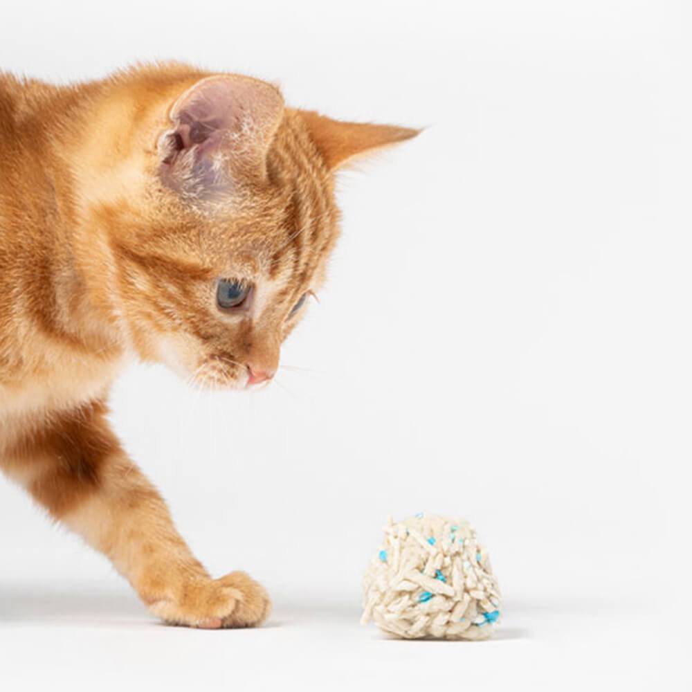 隱血測試 (豆腐砂+隱血測試顆粒)