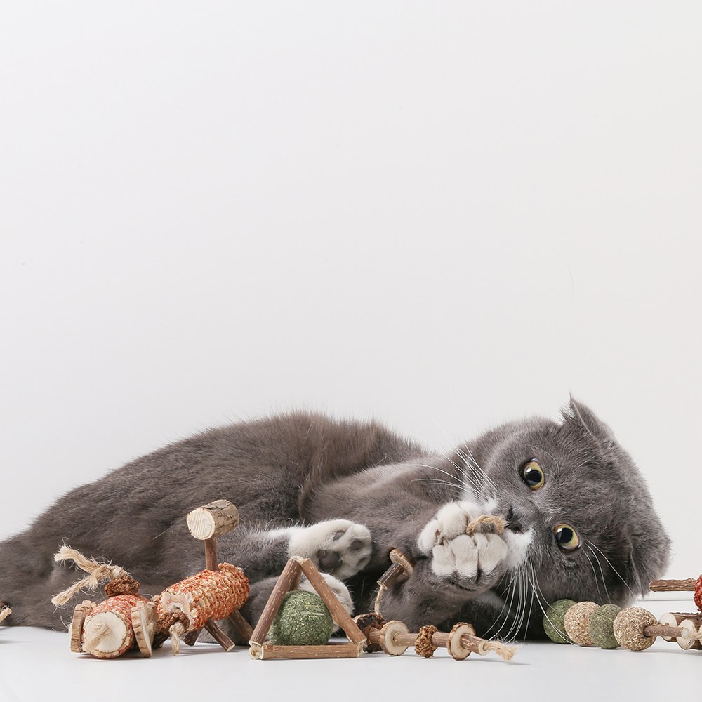 木天蓼玩具 (多款)