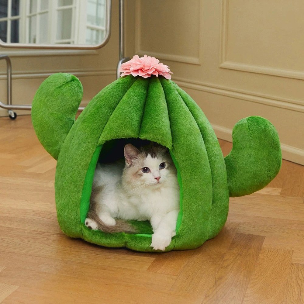 寵物睡窩 - 仙人掌