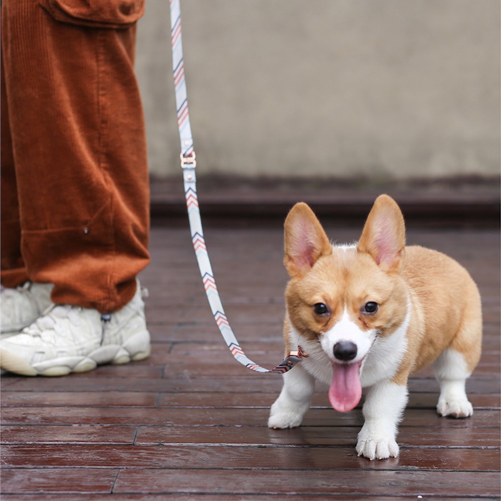 手鏈款牽繩 (兩款)