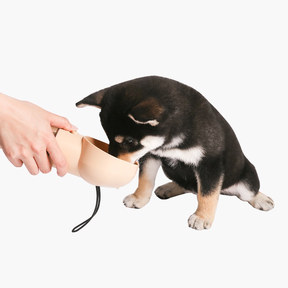 寵物外出隨行杯