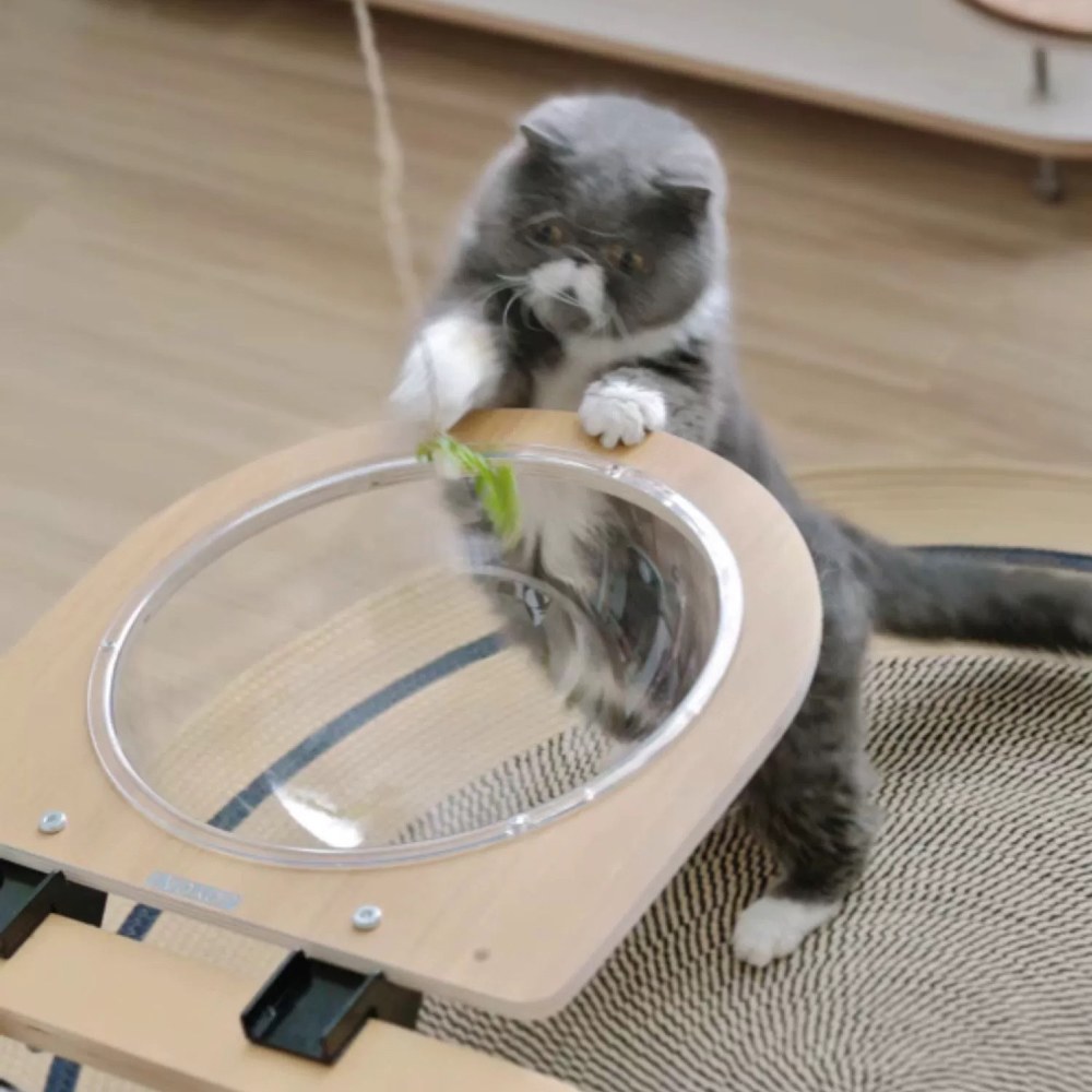 夾子貓牆系列 (多款)