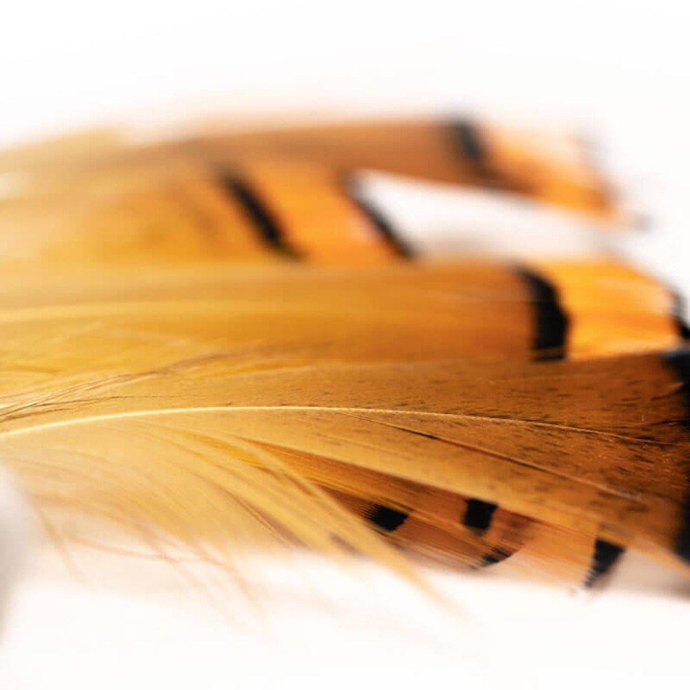 棉繩羽毛逗貓玩具 (四款)