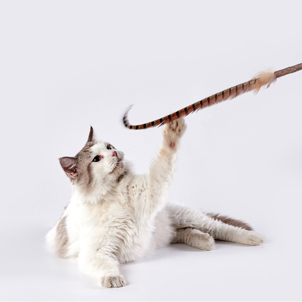 木天蓼羽毛巨長逗貓棒