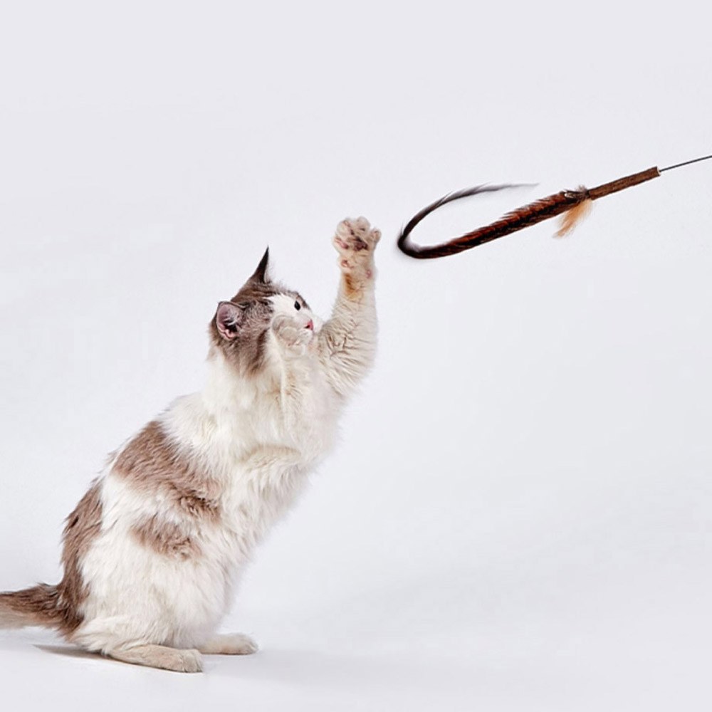 木天蓼羽毛巨長逗貓棒