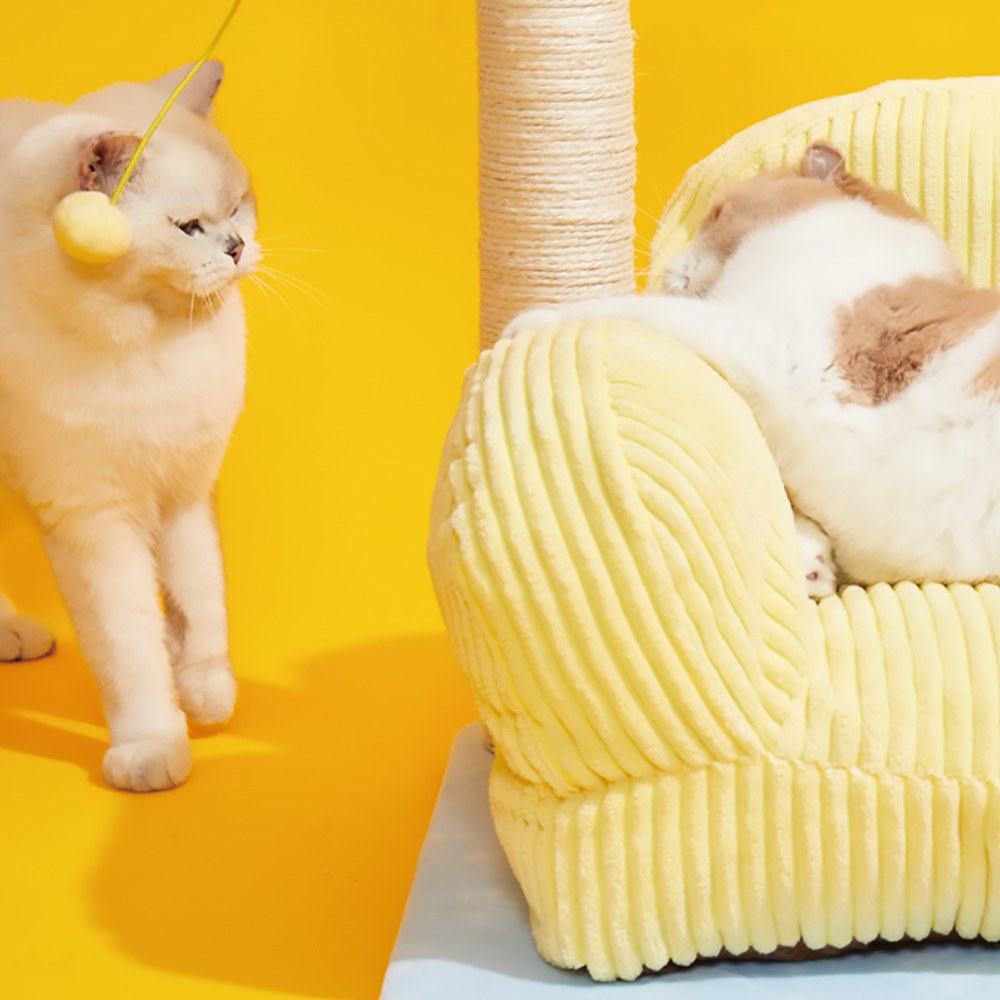 福利品專區 - 抓柱貓爬架 喵喵客廳